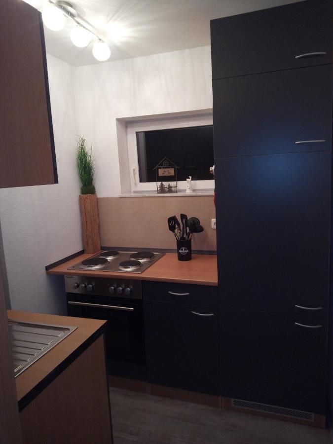 Moderne Ferienwohnung bis 4 Personen Ronneburg  Exterior foto